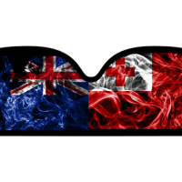 Fight Face NZ - Custom Mouthguards